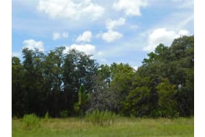 6681 N Bedstrow Blvd, DUNNELLON