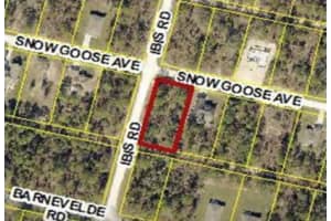 15282 Ibis Rd, BROOKSVILLE