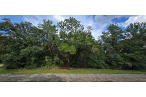 9427 N Lampson Ter, DUNNELLON