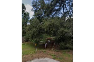 Riley Ave, ZEPHYRHILLS