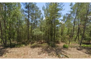 6230 W Oak Park Blvd, HOMOSASSA
