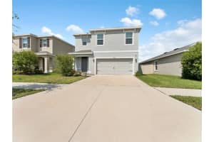 17037 Blister Wing Dr, WIMAUMA