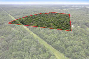 6440 Cedar Ln, BROOKSVILLE