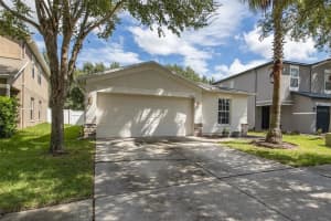 18337 Snowdonia Dr, LAND O LAKES