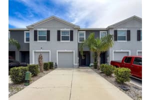 16196 Traditional Bluff Pl, ODESSA