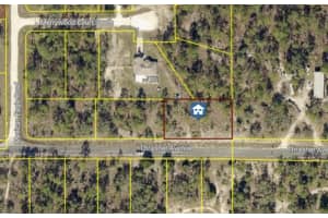 12121 Thrasher Ave, WEEKI WACHEE