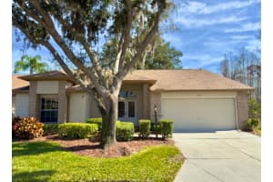5930 Precious View Ct, NEW PORT RICHEY