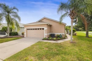 21433 Diamonte Dr, LAND O LAKES