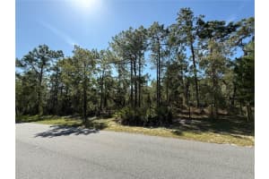 9006 Michigan Ave, WEEKI WACHEE