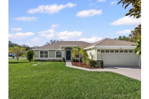 12498 Stevie Marie Ct, SPRING HILL
