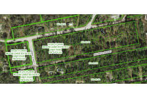 13027 Duchess Ave, NEW PORT RICHEY 13027 Duchess Ave, NEW PORT RICHEY