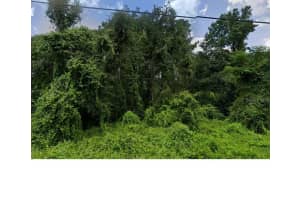 Oconee Blvd, NEW PORT RICHEY Oconee Blvd, NEW PORT RICHEY