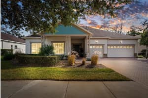 19906 Tattnall Way, BROOKSVILLE