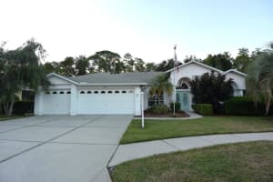 11247 Wedgemere Dr, TRINITY