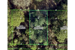 Rock Duck Ave, BROOKSVILLE