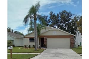 11204 Elmfield Dr, TAMPA