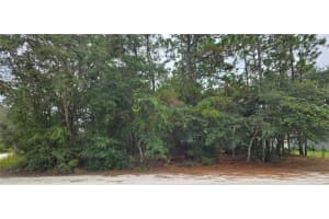 13476 Canada Goose Rd, BROOKSVILLE