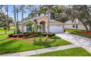 13510 Knotty Ln, HUDSON