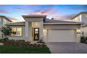 425 Douglas Hill Dr, LADY LAKE