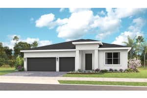 393 Douglas Hill Dr, LADY LAKE