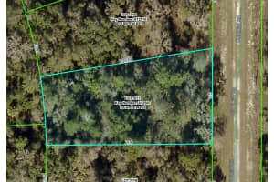 Curlew Rd, BROOKSVILLE Curlew Rd, BROOKSVILLE