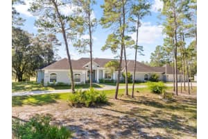 11200 Woodland Waters Blvd, WEEKI WACHEE