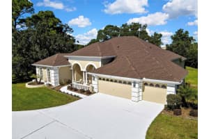 4412 Lake In The Woods Dr, SPRING HILL 4412 Lake In The Woods Dr, SPRING HILL