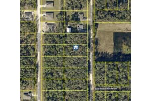 Lot 1021 Carolina Dove Rd, WEEKI WACHEE Lot 1021 Carolina Dove Rd, WEEKI WACHEE