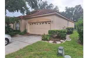 4426 Sawgrass Dr, PALM HARBOR