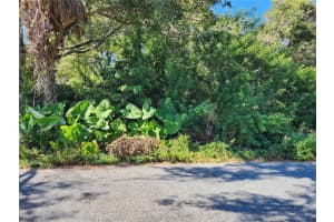 00 Atis St #lot#9, NEW PORT RICHEY