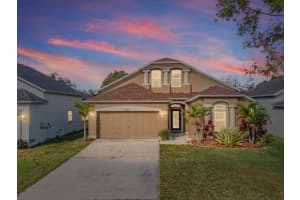 34447 Windknob Ct, WESLEY CHAPEL