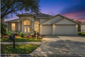 18118 Sweet Jasmine Dr, TAMPA