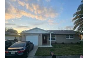 2141 Harrison Dr, HOLIDAY 2141 Harrison Dr, HOLIDAY