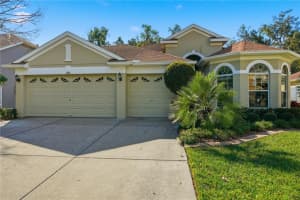11166 Belle Haven Dr, NEW PORT RICHEY 11166 Belle Haven Dr, NEW PORT RICHEY