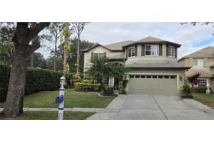 4217 Fishermans Lake Dr, LUTZ