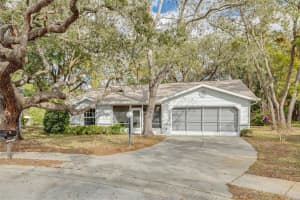 8619 Gold Pine Dr, PORT RICHEY