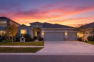 7629 Broad River Ave, LAND O LAKES