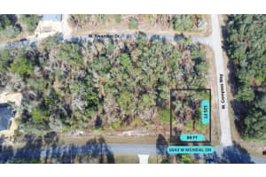 1643 W Mcneal Dr, CITRUS SPRINGS