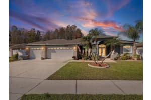 4731 Spring Side Dr, NEW PORT RICHEY