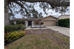 1117 Lakemont Dr, VALRICO 1117 Lakemont Dr, VALRICO