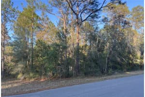Lot 4+ Blair Ave, BROOKSVILLE