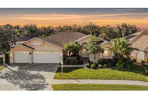 1331 Trimaran Pl, TRINITY 1331 Trimaran Pl, TRINITY