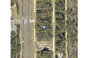 Lot 16 Necklace Warbler Ave, WEEKI WACHEE