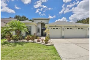 1403 Emerald Hill Way, VALRICO