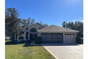 11430 Kingstree Ct, SPRING HILL 11430 Kingstree Ct, SPRING HILL