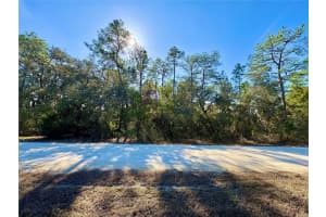 9164 Birmingham Ave, WEEKI WACHEE