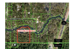 O Treiman Blvd, DADE CITY O Treiman Blvd, DADE CITY