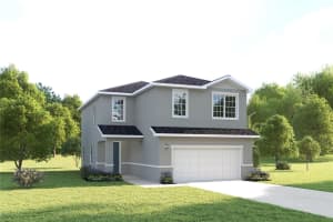 2317 Scenic Park Loop, WIMAUMA