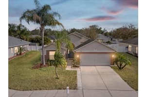 13328 Old Florida Cir, HUDSON 13328 Old Florida Cir, HUDSON