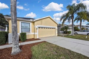 8049 Sanguinelli Rd, LAND O LAKES